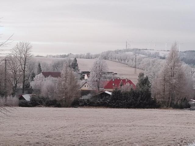 Pension Novy Den Albrechtice  ภายนอก รูปภาพ