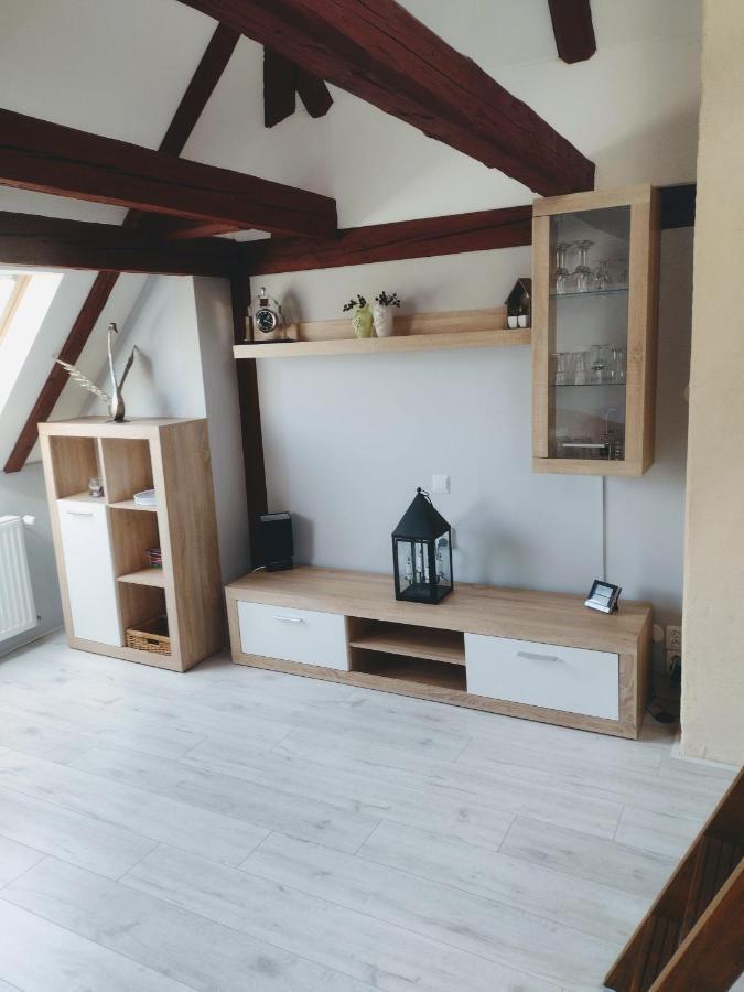 Pension Novy Den Albrechtice  ภายนอก รูปภาพ
