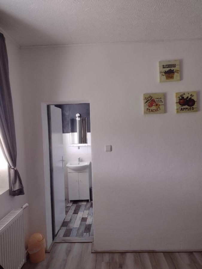 Pension Novy Den Albrechtice  ภายนอก รูปภาพ
