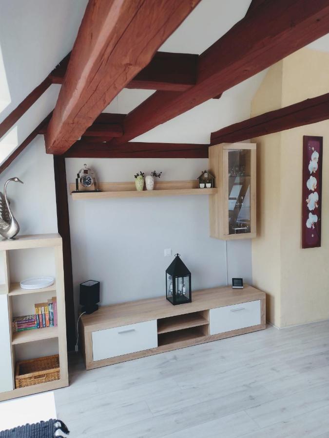 Pension Novy Den Albrechtice  ภายนอก รูปภาพ