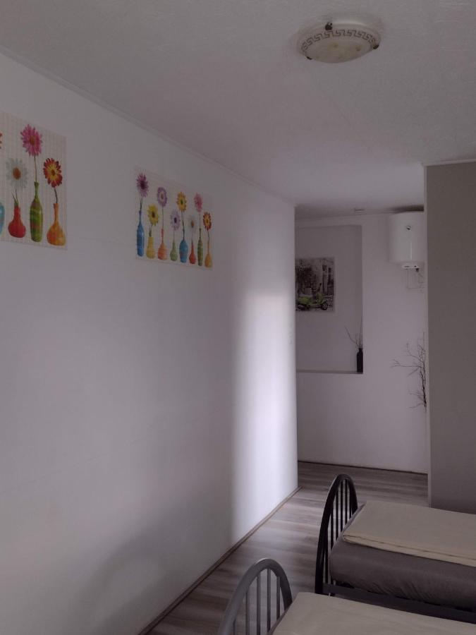 Pension Novy Den Albrechtice  ภายนอก รูปภาพ
