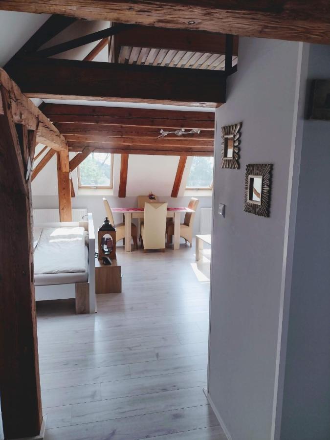 Pension Novy Den Albrechtice  ภายนอก รูปภาพ