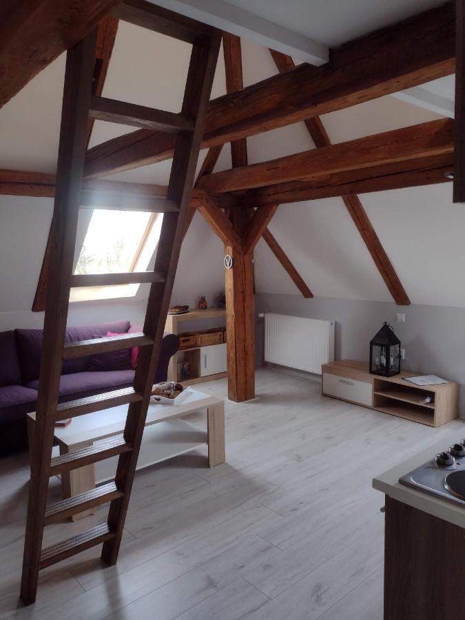 Pension Novy Den Albrechtice  ภายนอก รูปภาพ