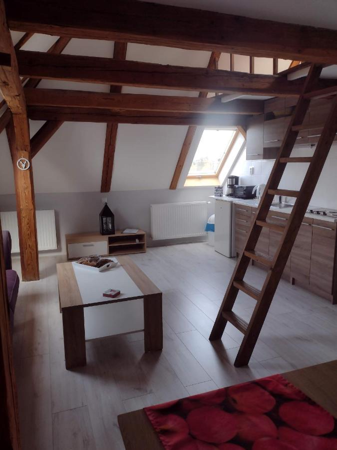 Pension Novy Den Albrechtice  ภายนอก รูปภาพ