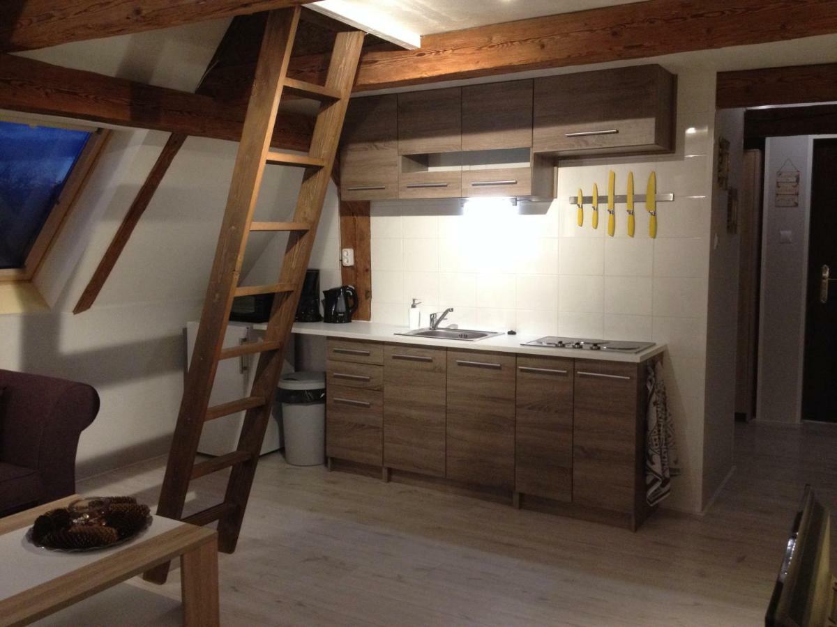 Pension Novy Den Albrechtice  ภายนอก รูปภาพ