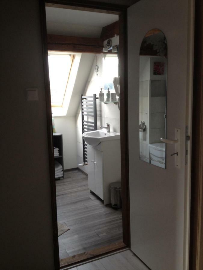 Pension Novy Den Albrechtice  ภายนอก รูปภาพ