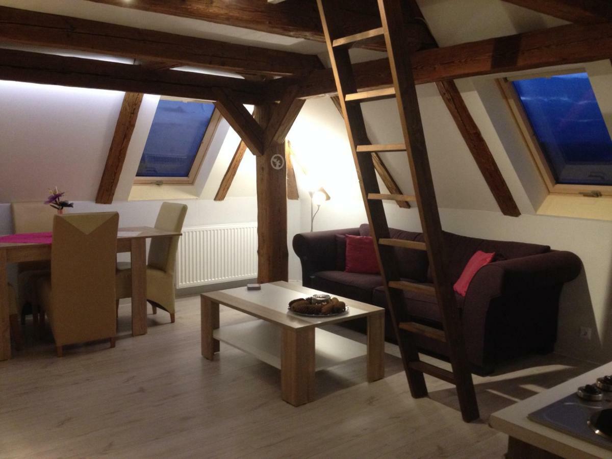 Pension Novy Den Albrechtice  ภายนอก รูปภาพ