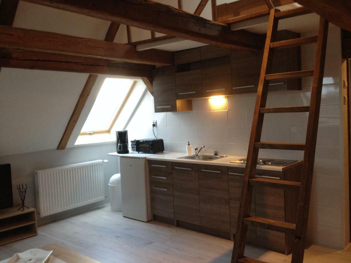 Pension Novy Den Albrechtice  ภายนอก รูปภาพ