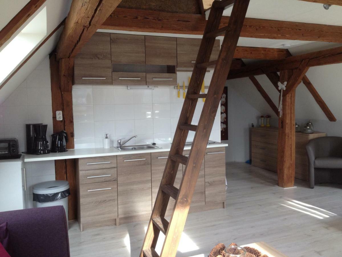 Pension Novy Den Albrechtice  ภายนอก รูปภาพ