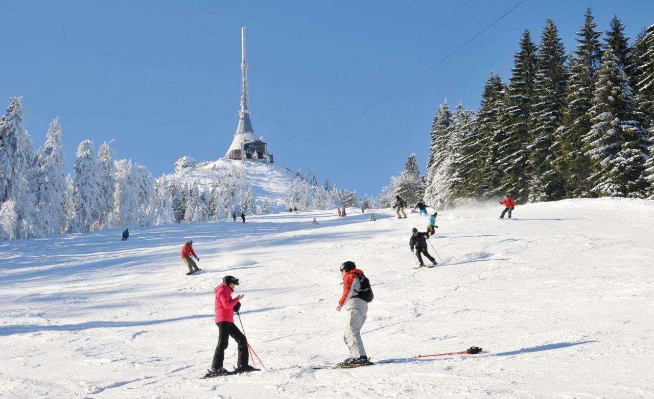 Pension Novy Den Albrechtice  ภายนอก รูปภาพ