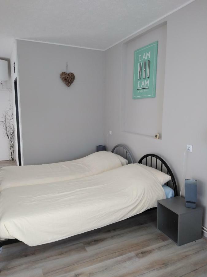 Pension Novy Den Albrechtice  ภายนอก รูปภาพ