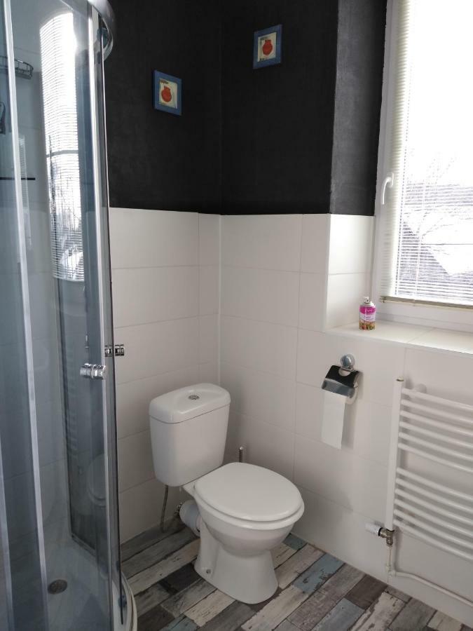 Pension Novy Den Albrechtice  ภายนอก รูปภาพ